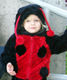 View - Halloween 2008 - Audrey dressed as a ladybug
